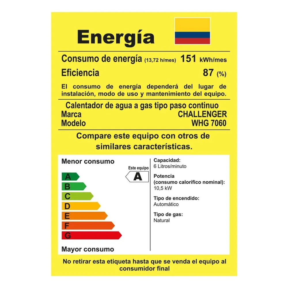 Calentador Challenger 6 Lts Tiro Natural WHG7060-GN