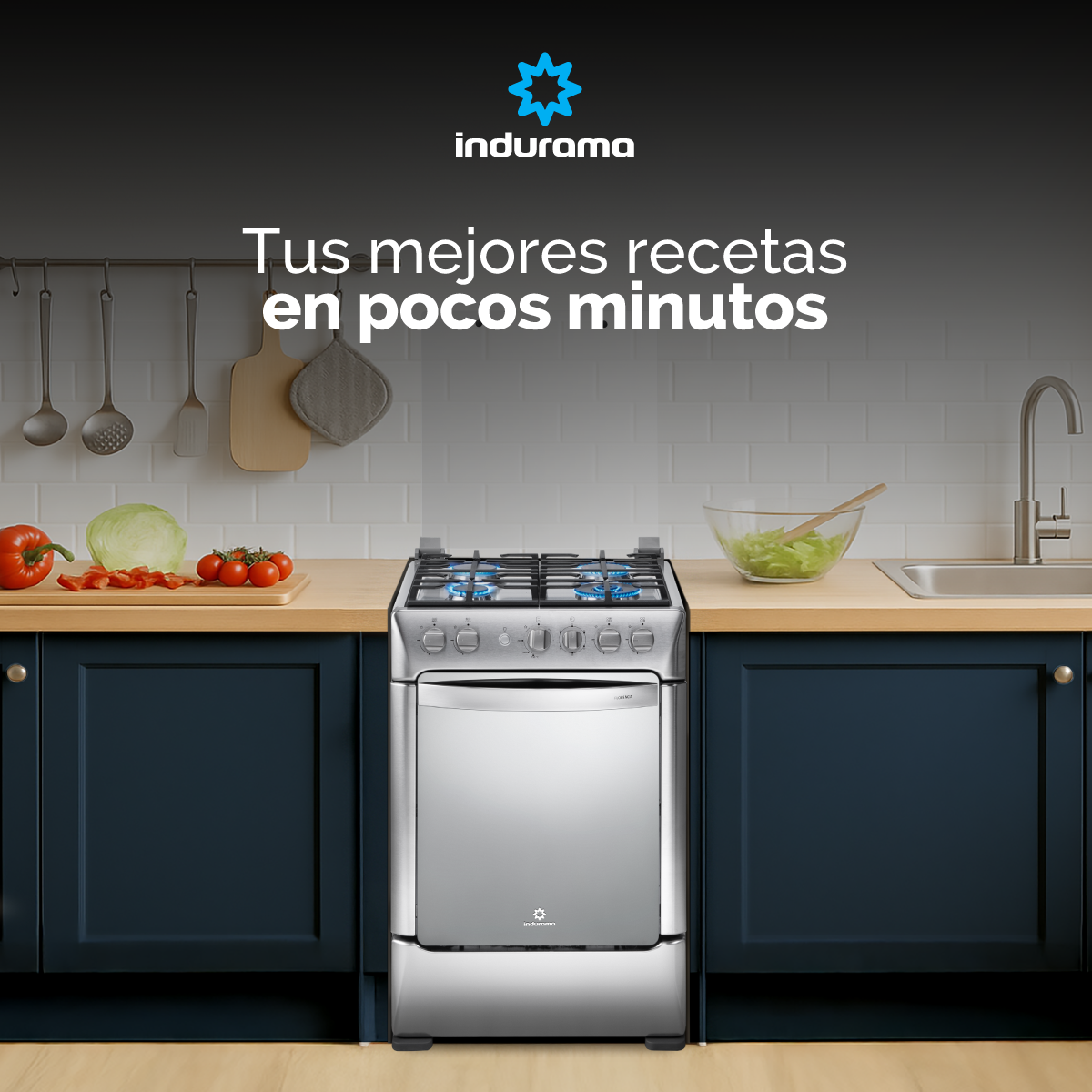 Estufa INDURAMA Florencia Zafiro Croma Gas Natural 30000848