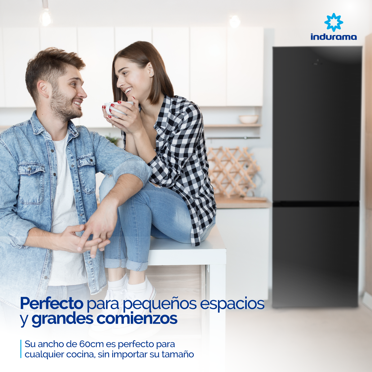 Nevera Indurama Tipo Europeo Bottom Mount Ri-6312 Negra 312 Lts