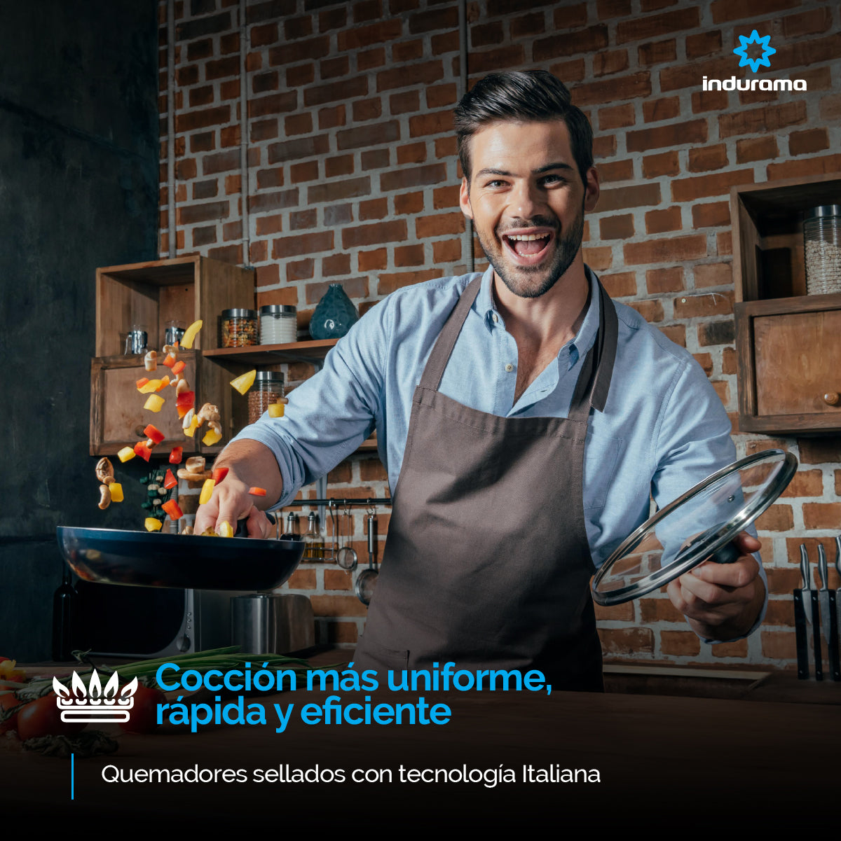 Estufa INDURAMA Galicia Zafiro Croma 6 PTOS Gas Natural 30000790