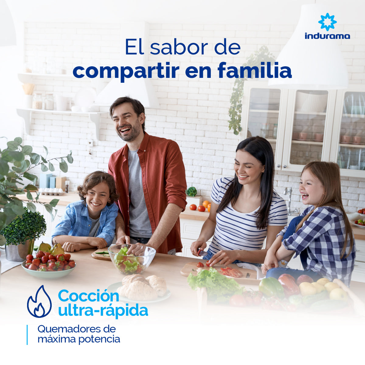 Estufa INDURAMA Bilbao Plus 4PTOS Gas Natural TBIL008