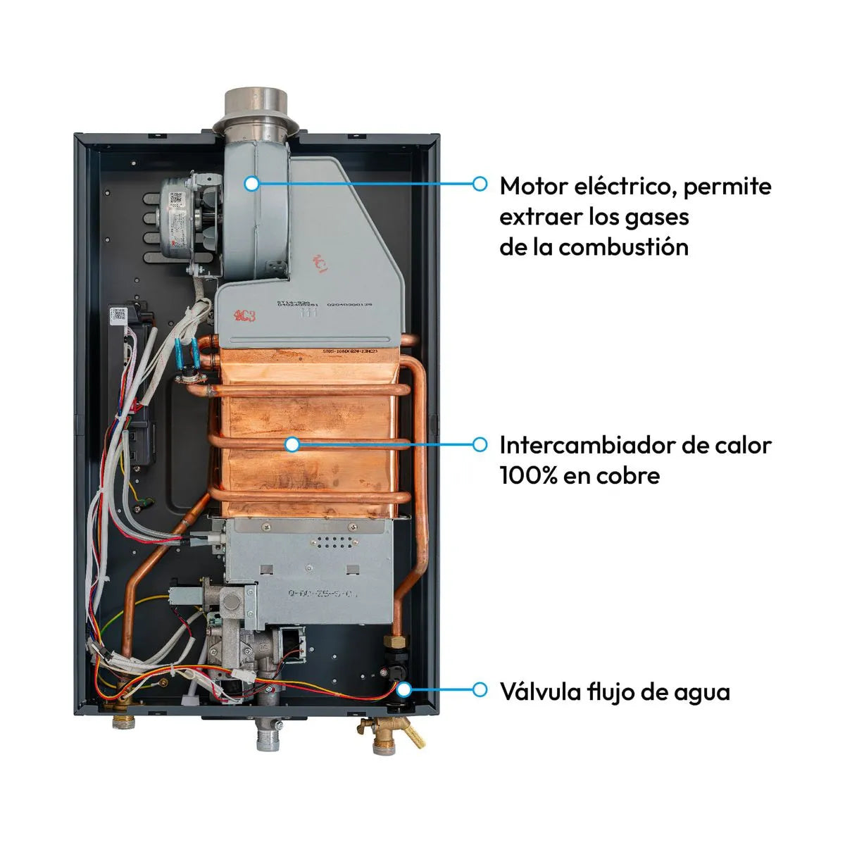 Calentador de Paso Challenger Gas Natural 12 Lts Tiro Forzado - WHD7125-GN