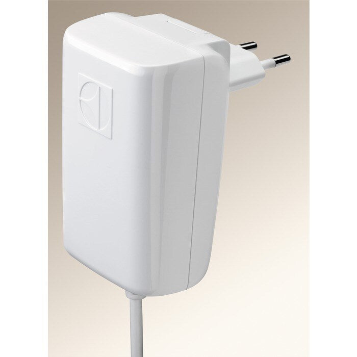 BOLIGRAFO ELECTROLUX QUITA MANCHAS